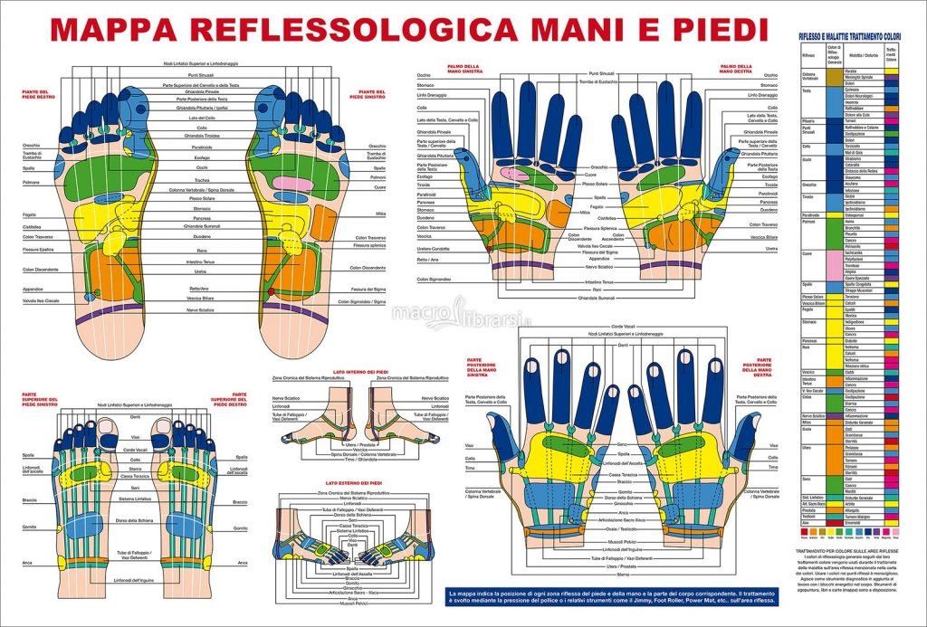 mappa-reflessologia-mani-e-piedi-poster-99934